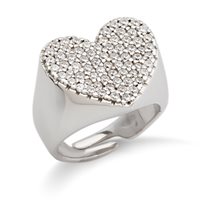 Ringe Artlinea Dame in Silber ZAN541-LB - ZAN541-LB